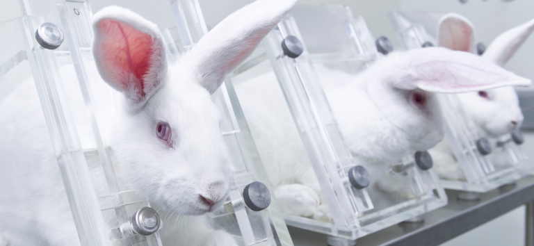 Brasil proíbe testes em animais para cosméticos e higiene: nova lei sancionada por Lula