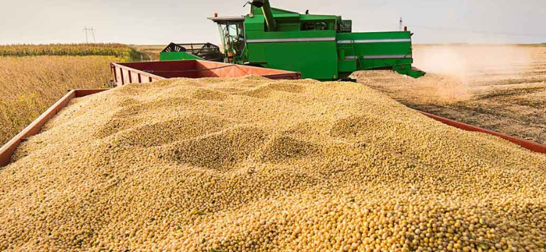 Brasil deve colher 354,8 milhões de toneladas de grãos na safra 2025/26, projeta Conab