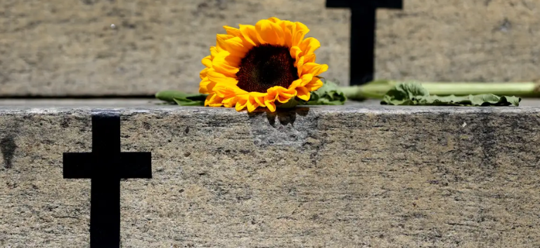 Casos de violência reacendem debate sobre feminicídio e desigualdade de gênero no Brasil