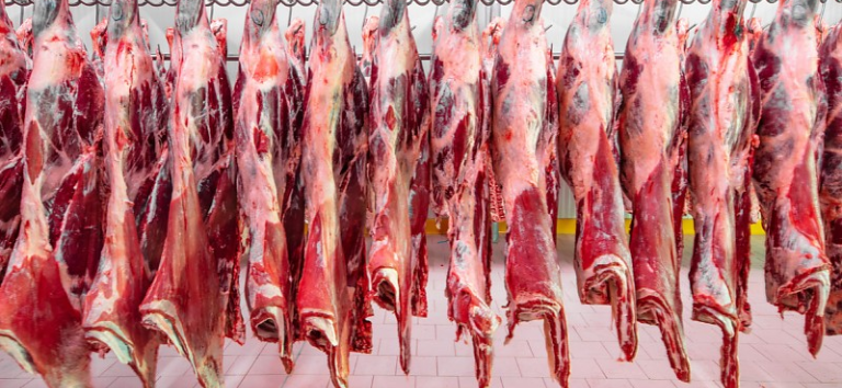 Limite de importação de carne bovina pelo México acende alerta para o Brasil