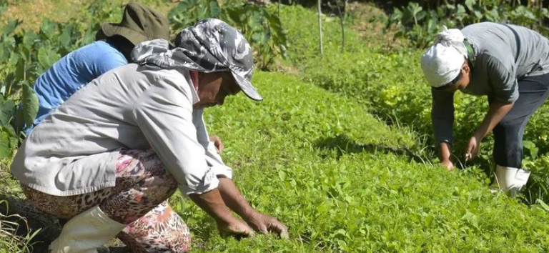 BNDES libera R$ 15,6 milhões para recuperação agrícola na Bacia do Rio Doce