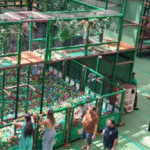 Fim das férias não encerra diversão no Shopping Campo Grande, que aposta em atrações para crianças e famílias