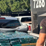 PF apreende 745 kg de pasta base de cocaína e prende dois por tráfico transnacional em Campo Grande