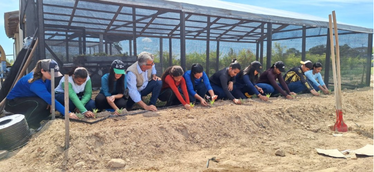 Após retirada do garimpo ilegal, Terra Yanomami inicia projeto de soberania alimentar