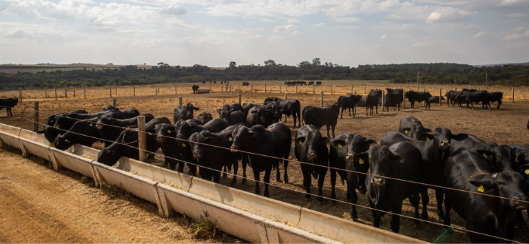 Economia brasileira cresce 2,5% em 2025, aponta Banco Central