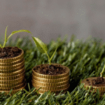 Crédito do Plano Safra supera R$ 354 bilhões e impulsiona agronegócio brasileiro