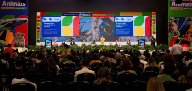 Governo do Brasil amplia multas por maus-tratos e cria Conferência Nacional de Direitos Animais