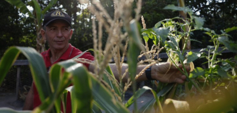 Fundo Amazônia destina R$ 52,9 milhões para regularização fundiária em municípios do Maranhão
