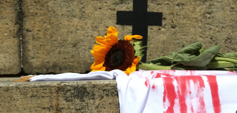 Brasil registra 6.904 vítimas de feminicídio em 2025 e número cresce 34%