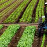 Crédito rural empresarial cresce 10% e movimenta R$ 404 bilhões no Plano Safra 2025/2026