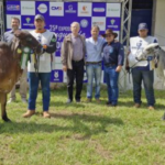 Expogrande 2026: programação de segunda (13) teve leilão, tecnologia e debates estratégicos em Campo Grande