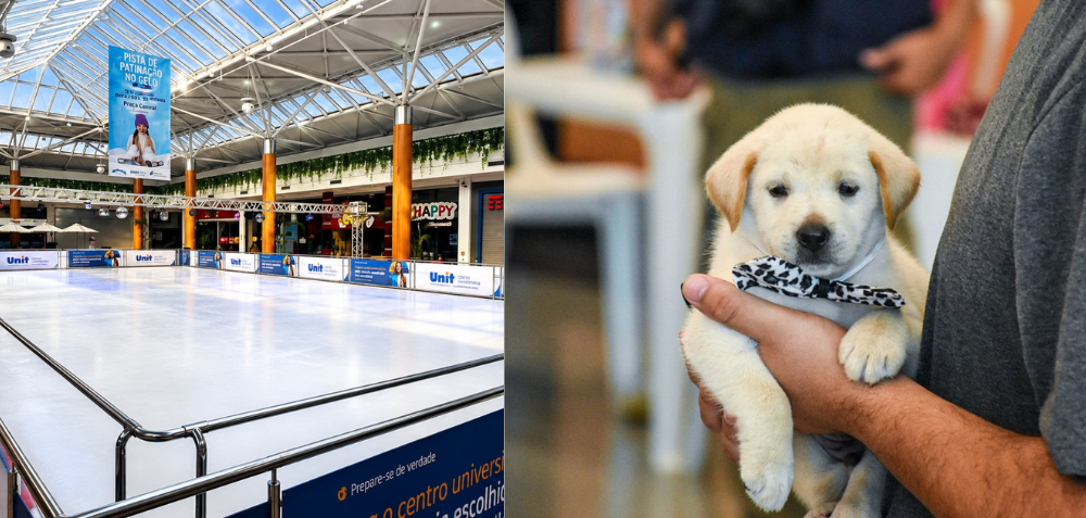 Shopping Bosque dos Ipês terá pista de patinação no gelo, troca de figurinhas e adoção pet neste fim de semana