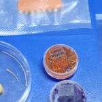 Salmão, caviar e lula feitos de plantas: pesquisa da Embrapa avança na criação de alimentos impressos em 3D