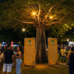 Feira do Baobá celebra primeiro ano com programação especial e expectativa de reunir milhares de visitantes em Campo Grande