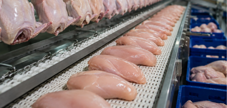 Exportações de carne de frango do Brasil batem recorde de volume e receita no primeiro semestre de 2026