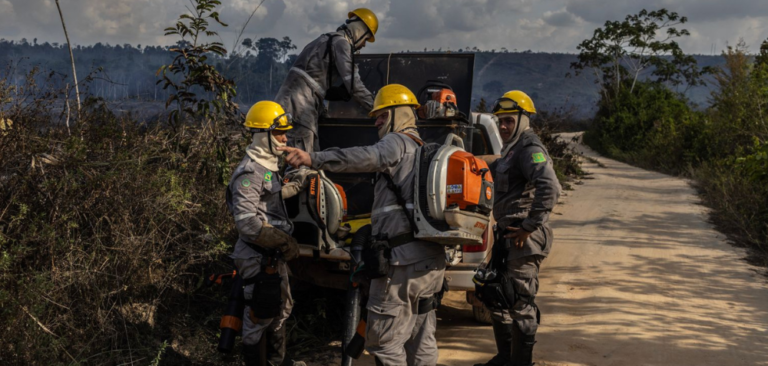 Comunidade e produtores rurais reforçam combate ao fogo na Amazônia com formação de novos brigadistas no Pará