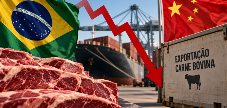 Exportações de carne bovina do Brasil para a China despencam 89% em agosto