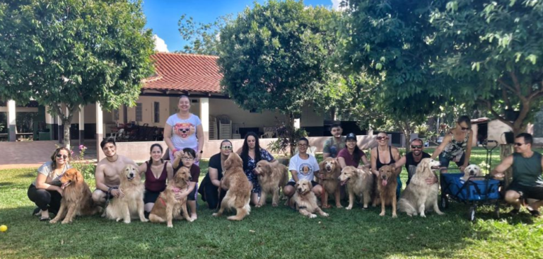 Conexão Pet terá feira de adoção, palestras e concurso de fantasias neste sábado em Campo Grande